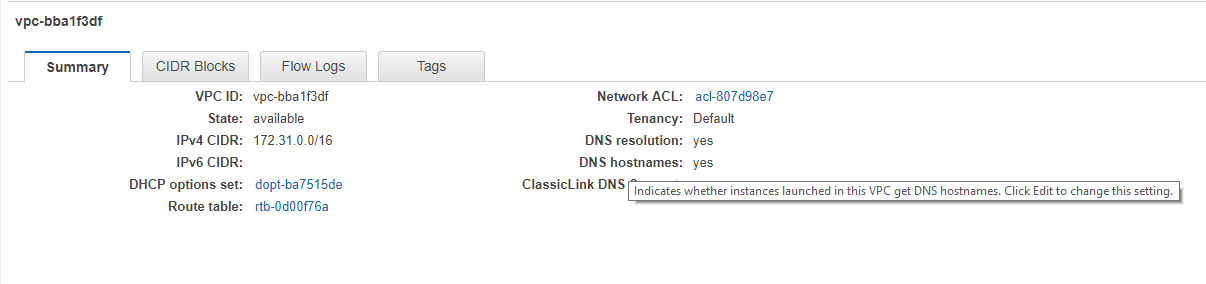 VPC DNS Hostname